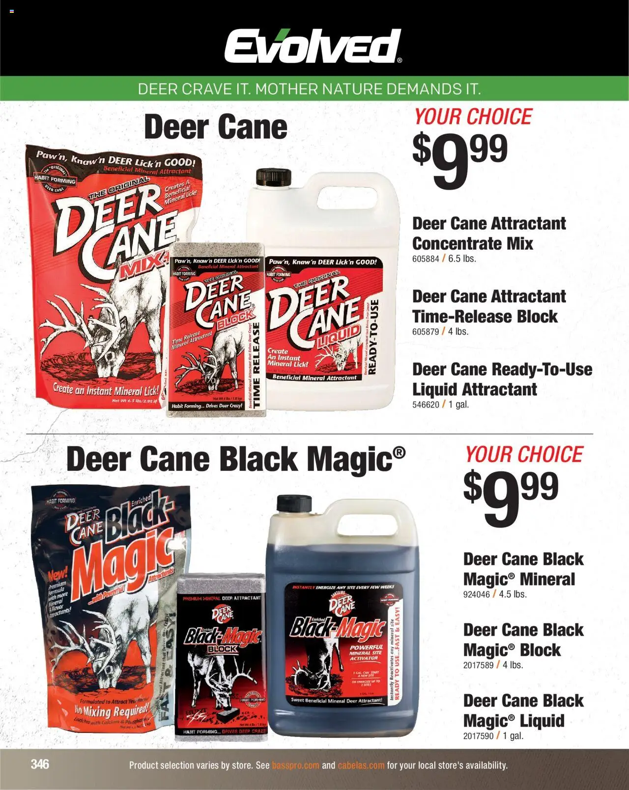 Cabela's Hunting Master 25 - valid from 11.08.2025 | Page: 346