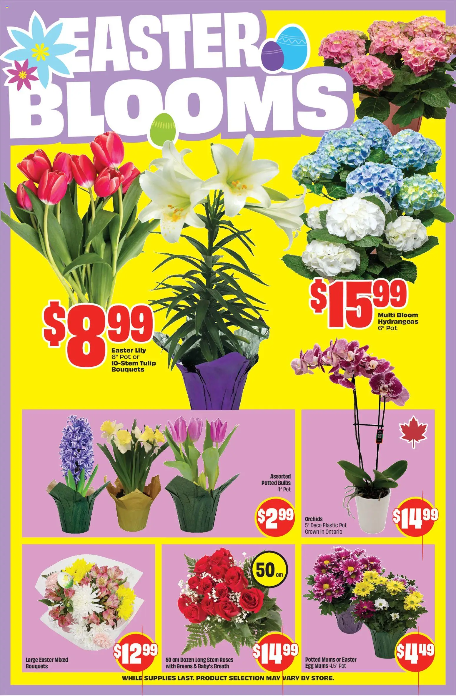 FreshCo flyer valid from 02.04.2026 | Page: 6