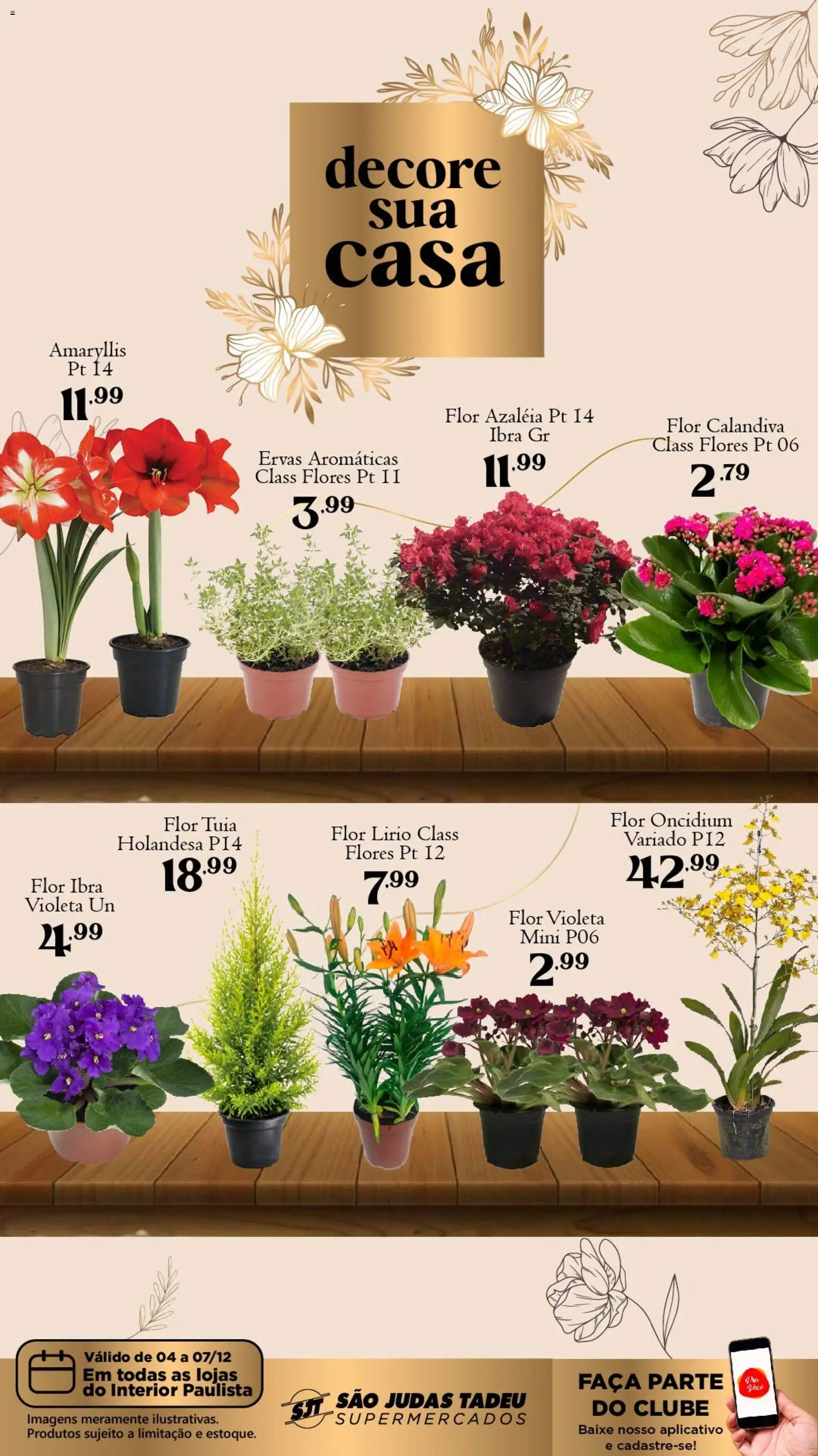 São Judas Tadeu Folheto - válido de 04.12.2025 | Página: 1 | Produtos: Flores, Faca