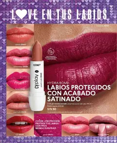 Vista previa de folleto CyZone - Campaña 3 de la CyZone válido desde 17.01.2026 | Página: 38 | Productos: Aceite