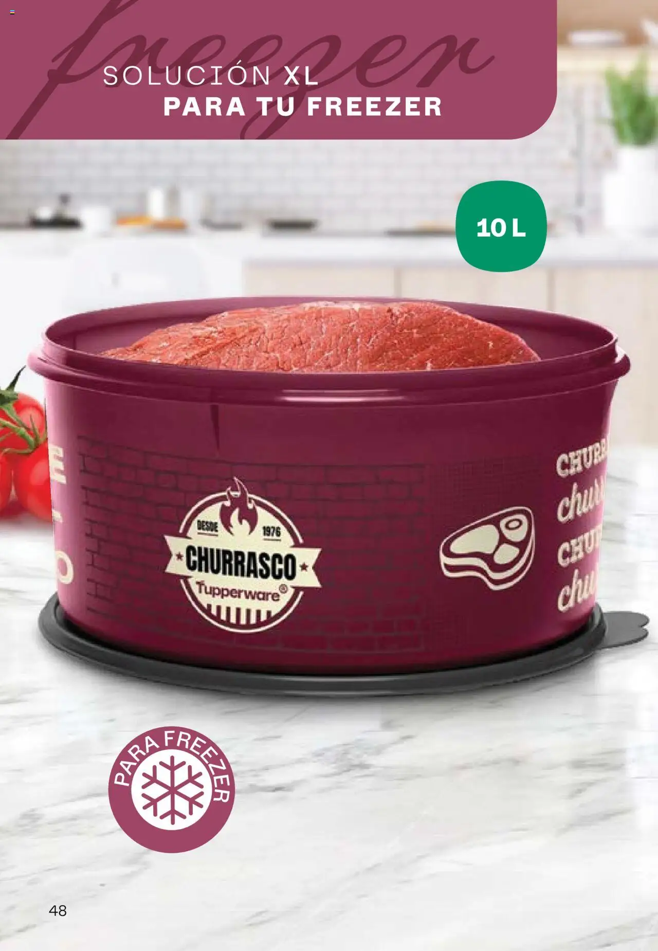 Tupperware - Campaña 17/2025 │ válido desde el 13.10.2025 | Página: 49 | Productos: Freezer