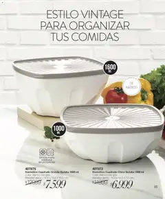 Vista previa Violetta - Violetta Cosméticos válido desde el 09.03.2026 | Página: 526