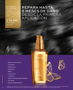 L'Bel revista - valida desde el 16.06.2025 | Página: 20 | Productos: Aceite