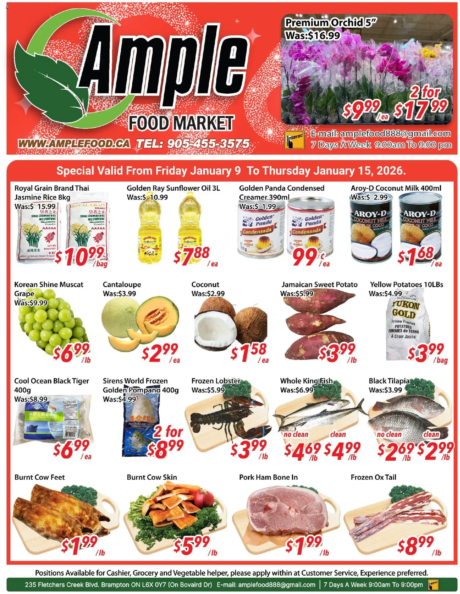Ample Food Market flyer valid from 09.01.2026 | Page: 1 | Products: Rice, Potatoes, Oil, Pork