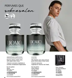 Vista previa Millanel - Catálogo válido desde el 05.01.2026 | Página: 38