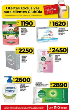 Vista previa Supermercado DIA Ofertas válido desde el 15.10.2025 | Página: 56 | Productos: Jabón