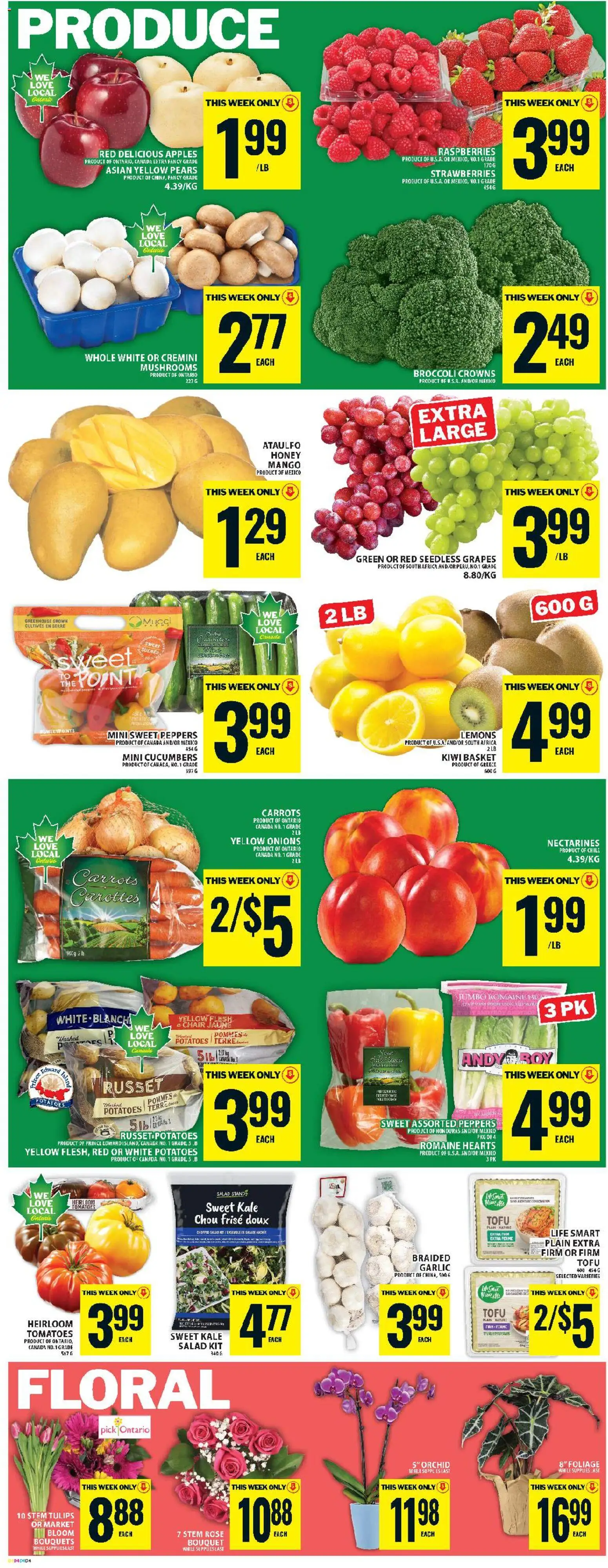 Food Basics flyer valid from 19.03.2026 | Page: 6 | Products: Kiwi, Cucumbers, Salad, Chair