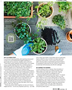 Preview of Catalogue Bunnings Warehouse December  - valid from 01.12.2025 | Page: 49 | Products: Plant, Herb, Onions, Parsley