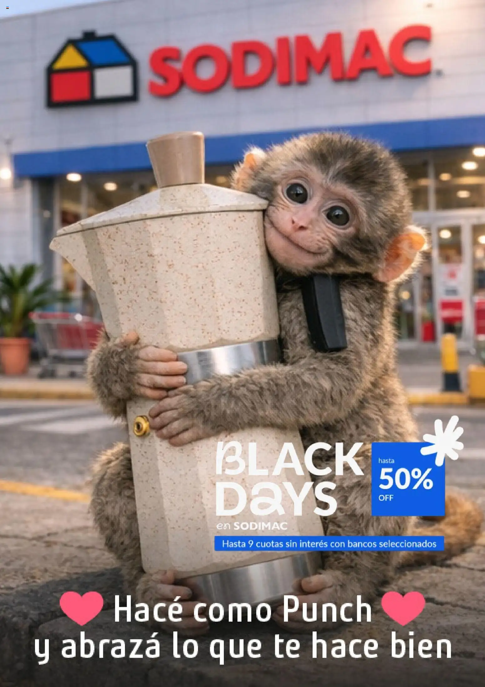 Sodimac catálogo │ válido desde el 01.03.2026 | Página: 1 | Productos: Té