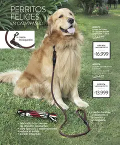 Vista previa Violetta - Violetta Cosméticos válido desde el 09.03.2026 | Página: 581 | Productos: Algodón