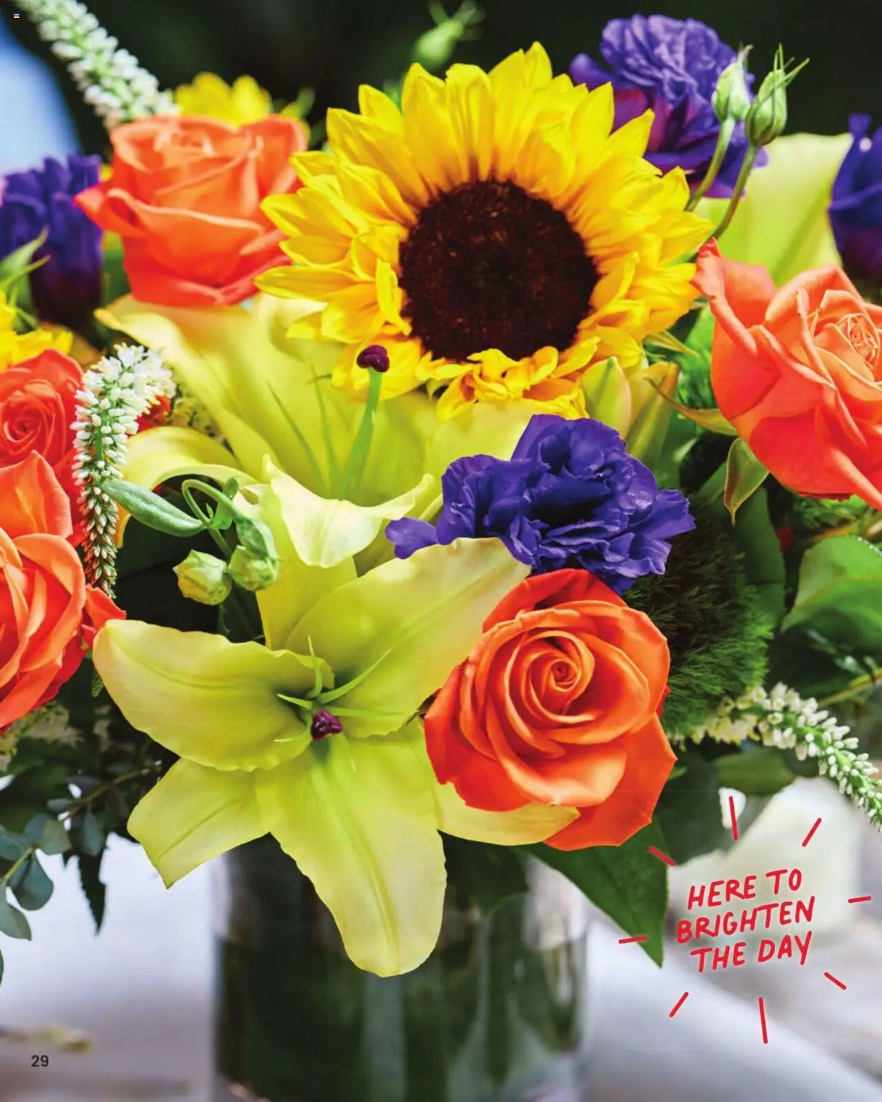 Acme Entertaining Guide - valid from 01.01.2025 | Page: 30