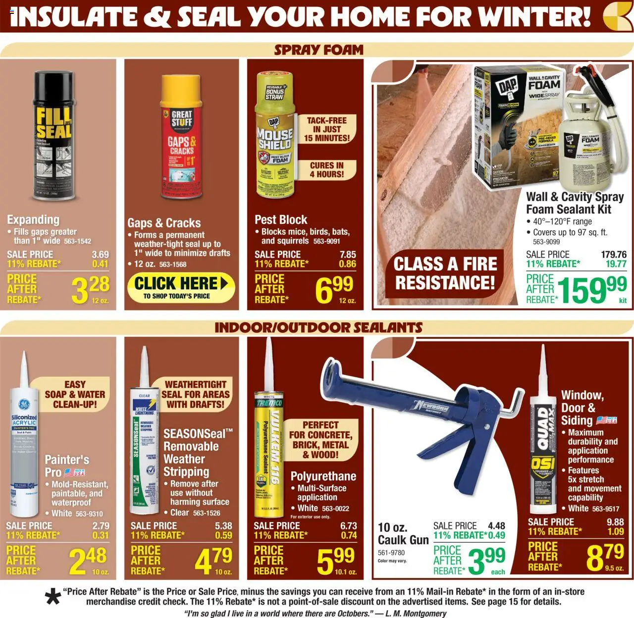 Menards - Weekly Ad - valid from 15.10.2025 | Page: 2