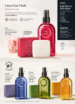 Yanbal catálogo C04/2026 -  Vista previa de la revista de la tienda Yanbal valido desde el 28.03.2026 | Página: 29