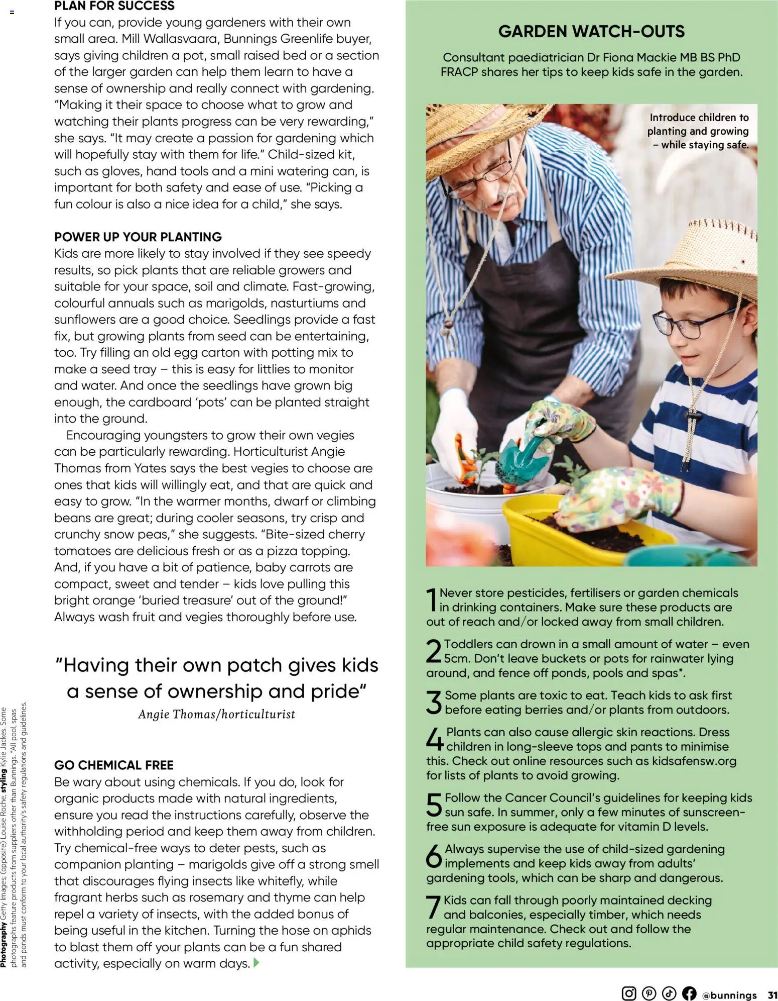 Bunnings Warehouse catalogue - valid from 01.02.2026 | Page: 31 | Products: Fence, Sunscreen, Carrots, Soil