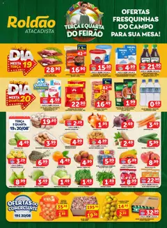 Roldão - Ofertas Feirão - Pré-Visualização do folheto da loja Roldão, válido de 19.08.2025