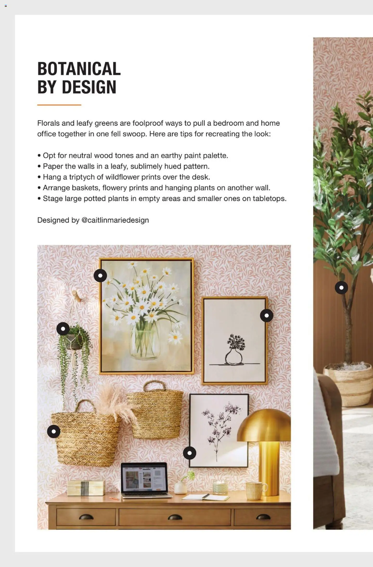 Home Depot Catalog - valid from 27.04.2026 | Page: 16 | Products: Greens