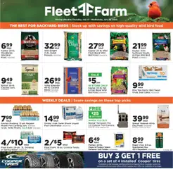 Preview of Mills Fleet Farm weekly ads valid from 17.07.2025