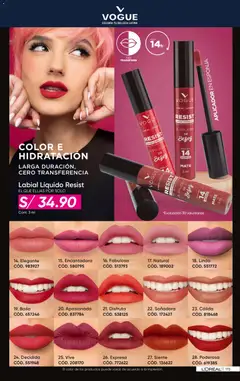 Vista previa de folleto Azzorti - Campaña C02/2026 de la Azzorti válido desde 15.12.2025 | Página: 176 | Productos: Esponja