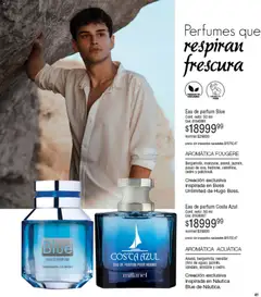 Vista previa Millanel - Catálogo válido desde el 02.02.2026 | Página: 41