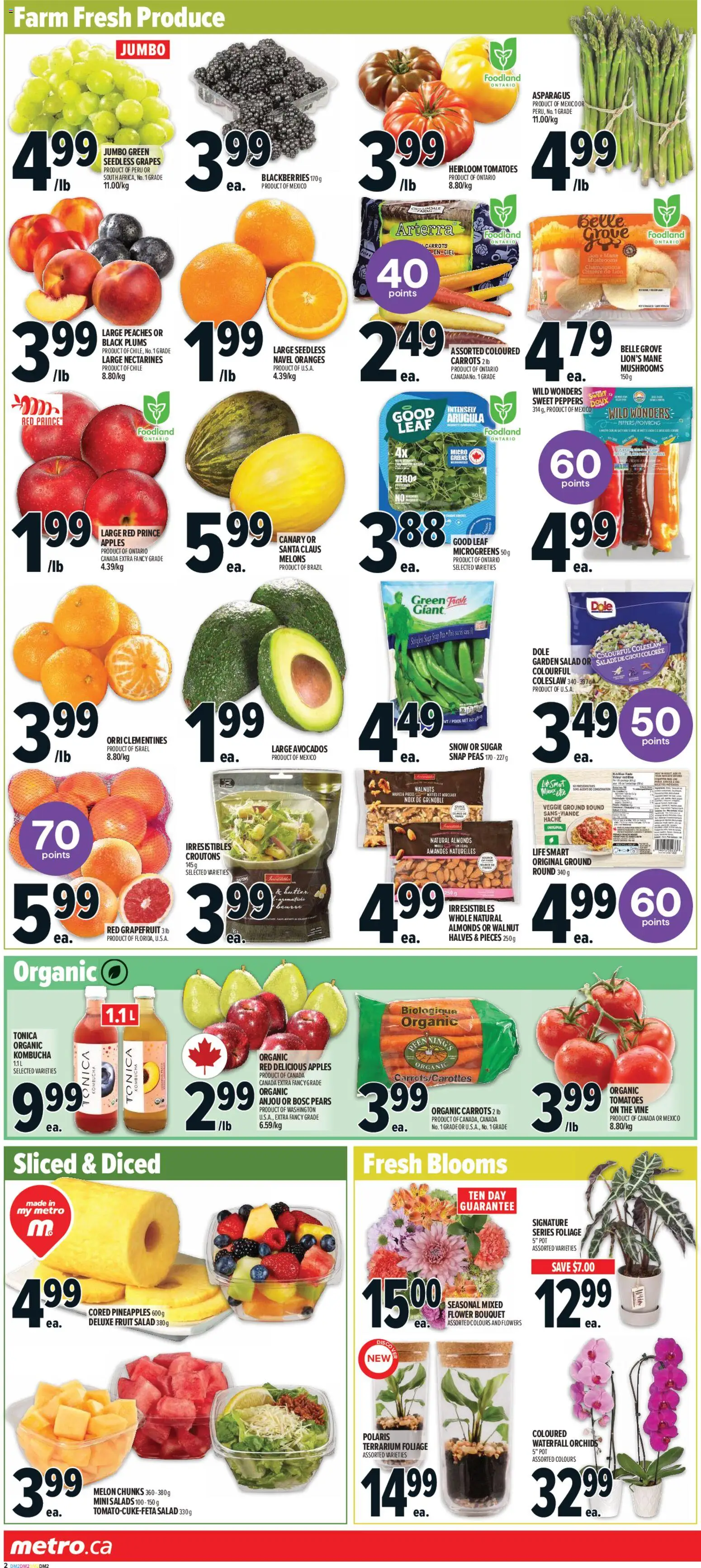 Metro flyer valid from 26.02.2026 | Page: 6 | Products: Salad, Apples, Oranges, Tomatoes