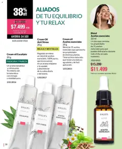 Bagués catálogo │ válido desde el 28.07.2025 | Página: 38 | Productos: Té