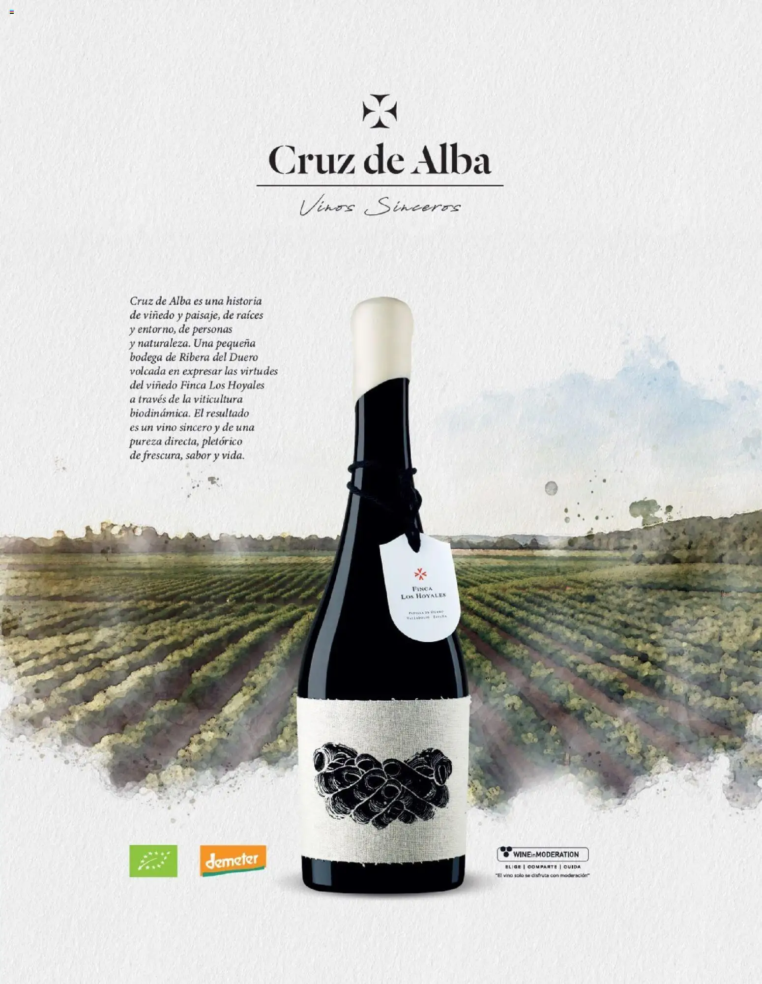 Nuevas ofertas de El Corte Inglés válidas en toda la República Mexicana desde el 19.11.2025. ¡Encuentra las mejores ofertas en El Corte Inglés catálogo El Placer De Regalar! | Página: 118 | Productos: Vino