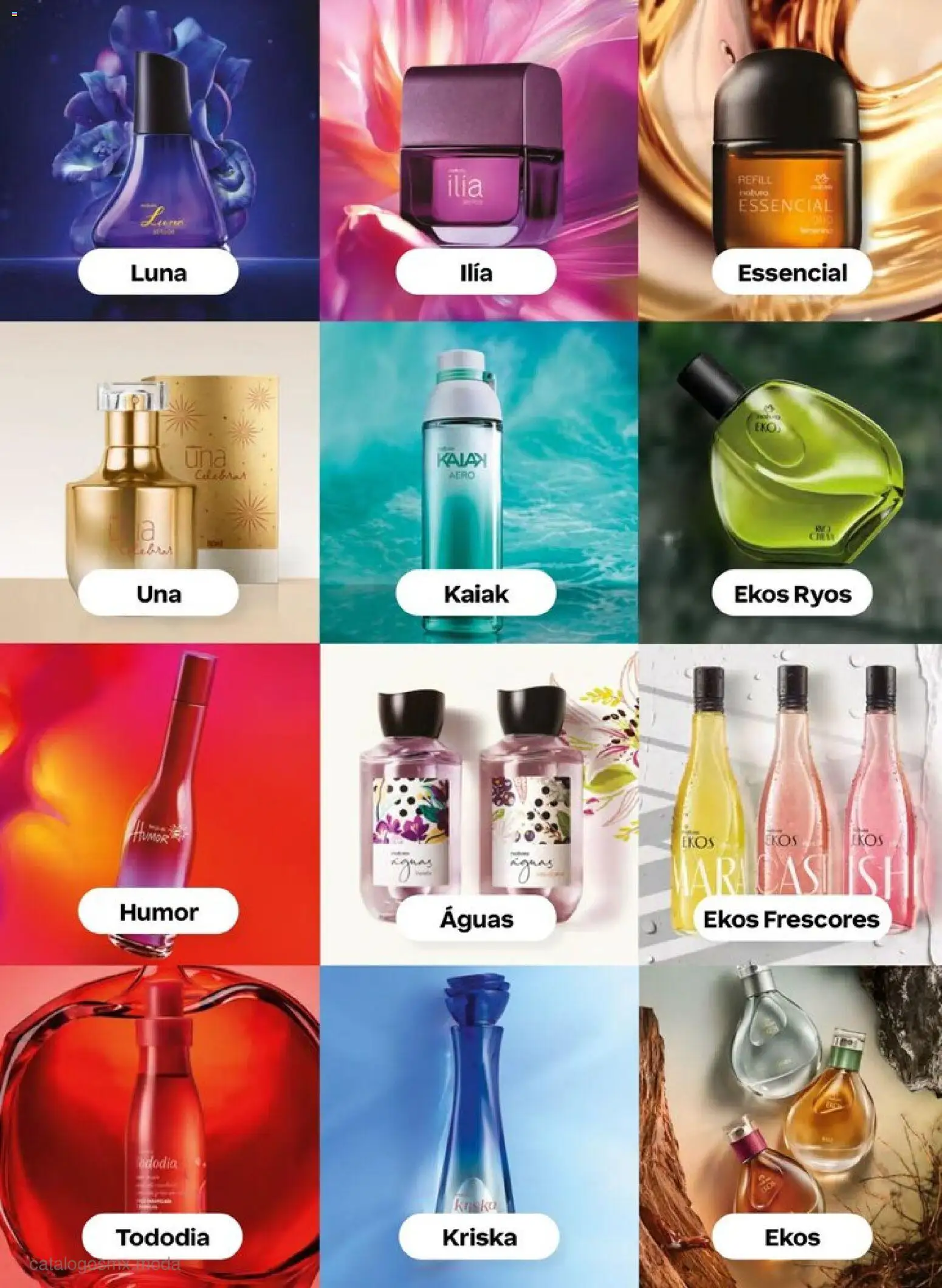 Nuevas ofertas de Natura válidas en toda la República Mexicana desde el 20.12.2025. ¡Encuentra las mejores ofertas en Natura campaña 1 2026! | Página: 16