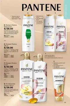 Vista previa de folleto Leonisa - Aliados Leonisa  de la Leonisa válido desde 06.03.2026 | Página: 35