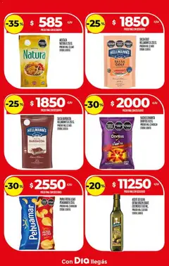 Vista previa Supermercado DIA Ofertas válido desde el 10.12.2025 | Página: 17
