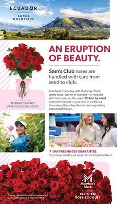 Preview of Sam's Club weekly ads valid from 28.01.2026 | Page: 29