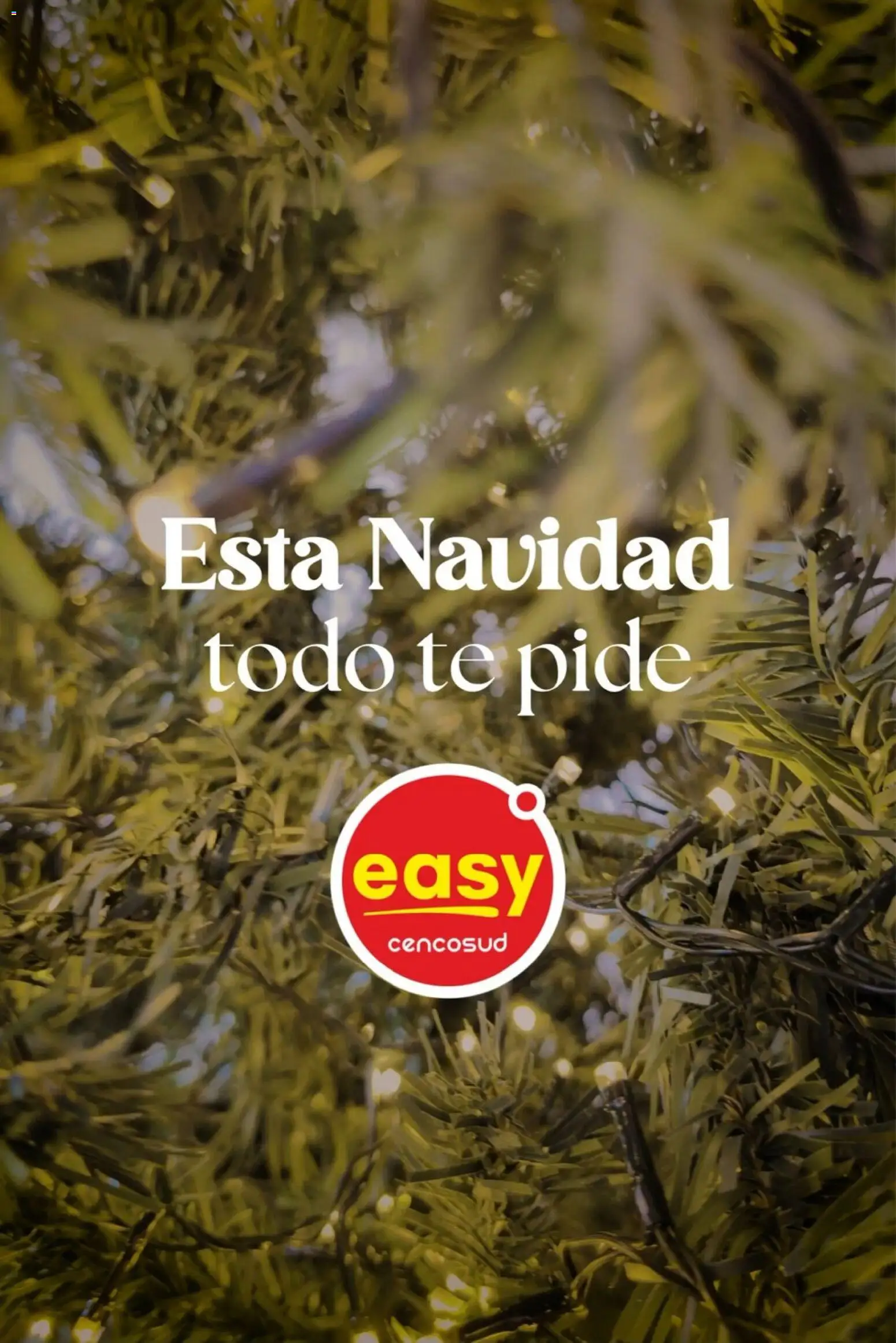 Easy - Catálogo - Navidad │ válido desde el 27.10.2025 | Página: 1 | Productos: Té