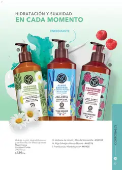 Vista previa de Yves Rocher campaña 4 2026, nuevo folleto de la tienda, válido en México a partir del 03.03.2026 | Página: 55