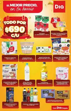 Vista previa Supermercado DIA Ofertas válido desde el 19.11.2025 | Página: 2