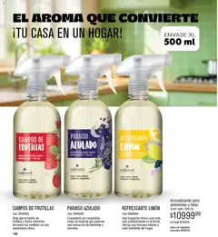 Vista previa Millanel - Catálogo válido desde el 10.11.2025 | Página: 166 | Productos: Fragancia, Limón
