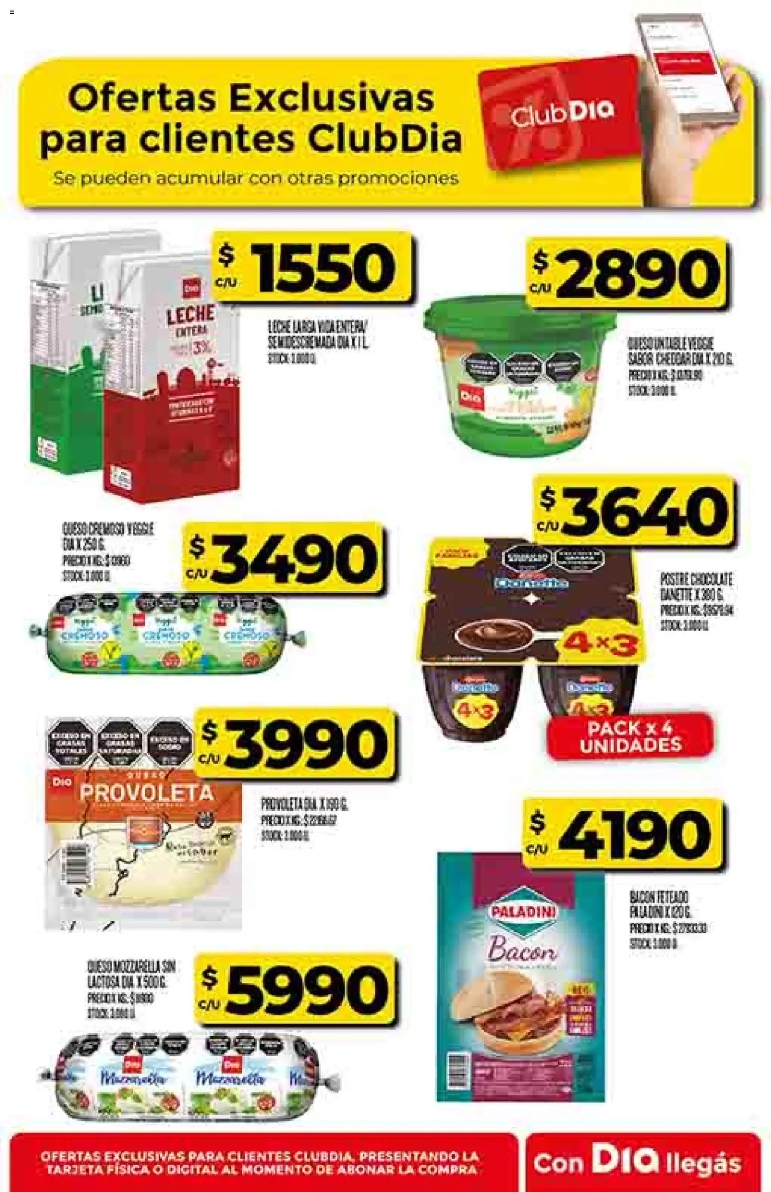 Dia - Ofertas - Salta y Jujuy │ válido desde el 12.11.2025 | Página: 46 | Productos: Leche, Chocolate