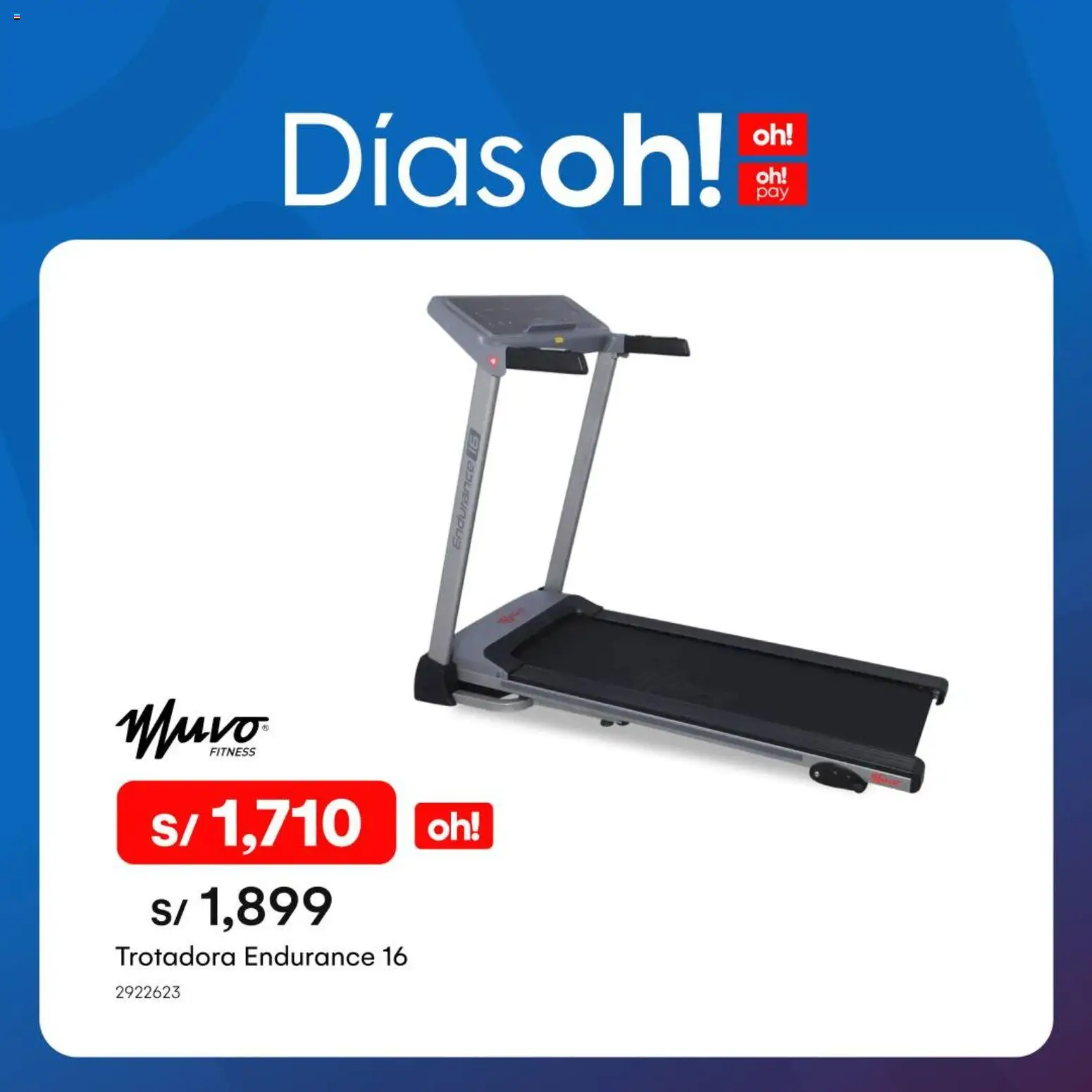 Catálogo Oechsle válido desde 19.01.2026 | Página: 17