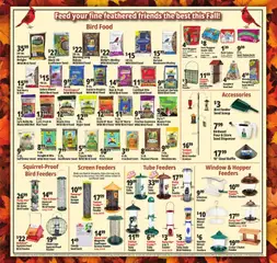 Preview of Ocean State Job Lot weekly ads valid from 23.10.2025 | Page: 19