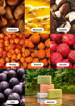 Natura - Catálogo C16/2025 -  Vista previa de la revista de la tienda Natura valido desde el 13.11.2025 | Página: 136 | Productos: Maracuyá