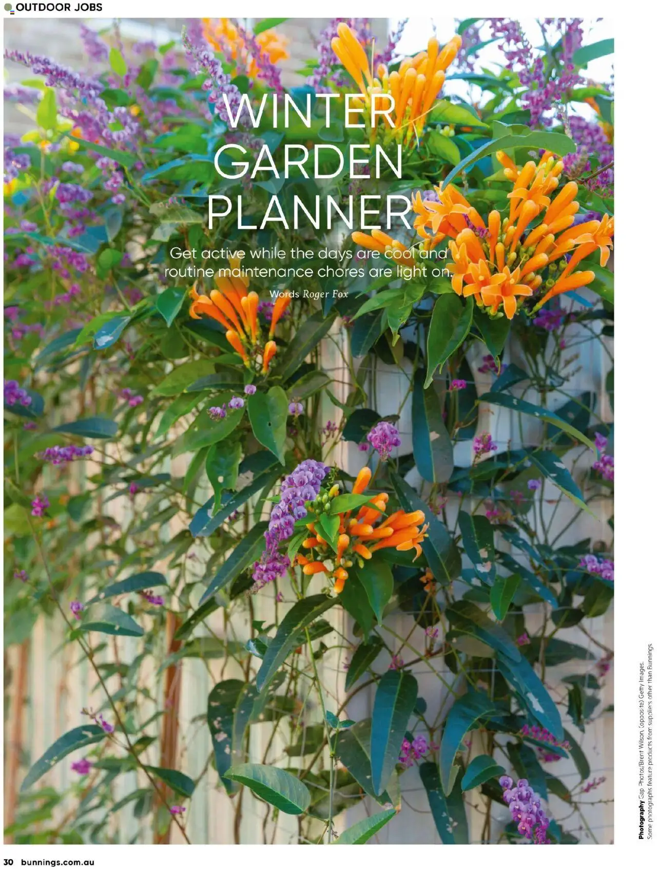 Bunnings Warehouse catalogue - valid from 01.07.2025 | Page: 30 | Products: Light