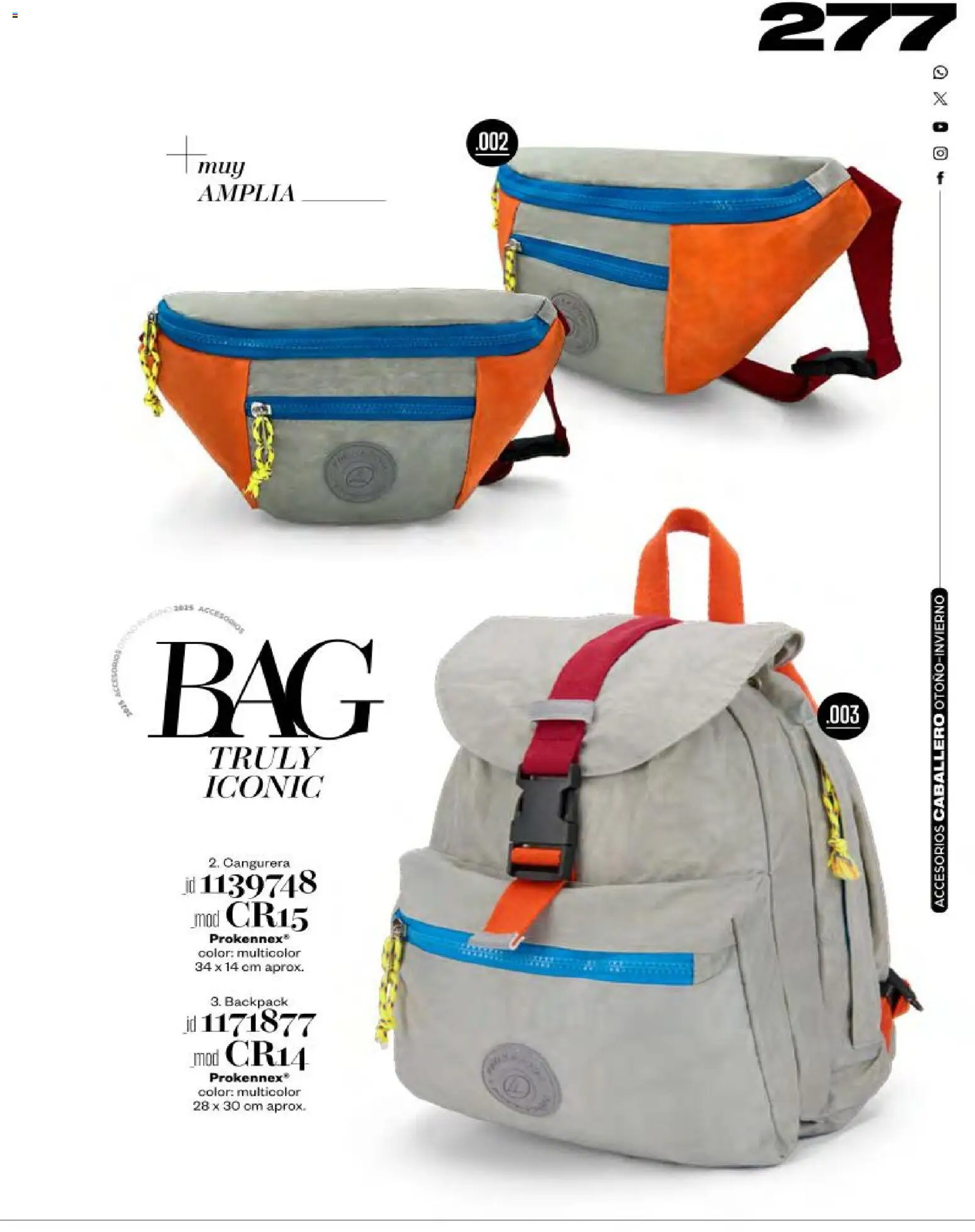 Nuevas ofertas de Price Shoes válidas en toda la República Mexicana desde el 03.11.2025. ¡Encuentra las mejores ofertas en Price Shoes catálogo Accesorios! | Página: 277 | Productos: Cangurera