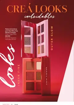 Vista previa Mary Kay catálogo válido desde el 02.01.2026 | Página: 48 | Productos: Paleta