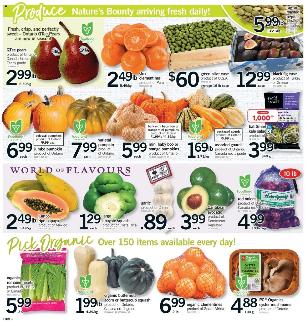 Fortinos flyer valid from 11.09.2025 | Page: 3 | Products: Salad, Case, Bag, Pumpkin