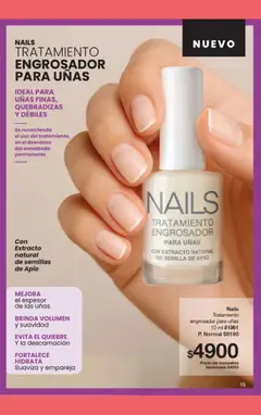 Vista previa Gigot catálogo 02 válido desde el 01.02.2026 | Página: 21 | Productos: Apio, Semillas