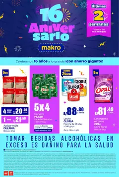 Vista previa de folleto Catálogo Makro  de la Makro válido desde 17.07.2025