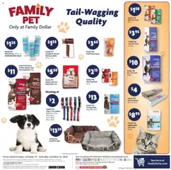 Preview of Family Dollar weekly ads valid from 19.10.2025 | Page: 12