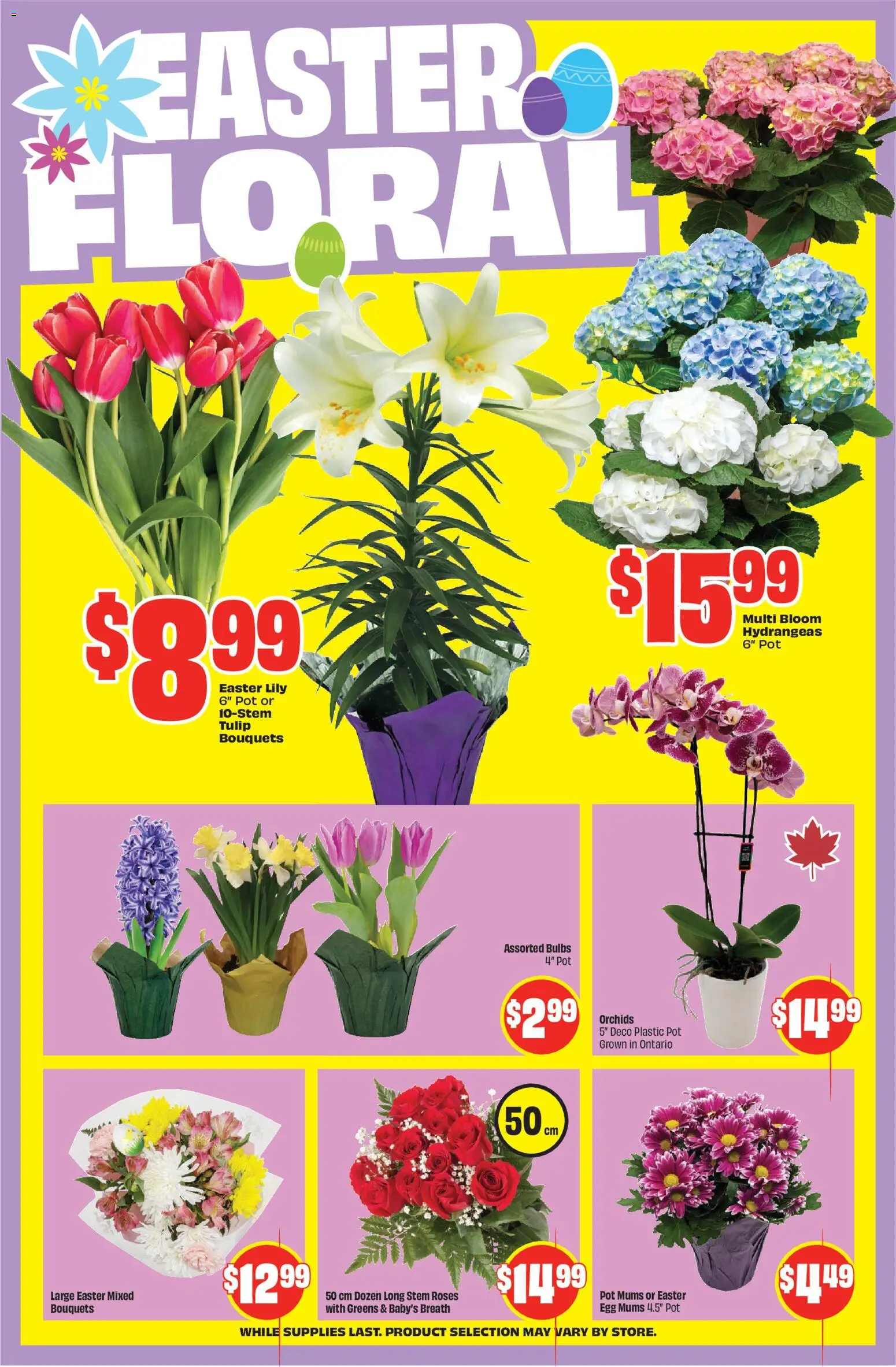 FreshCo flyer valid from 26.03.2026 | Page: 7