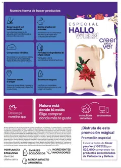 Natura - Catálogo -  Vista previa de la revista de la tienda Natura valido desde el 03.09.2025 | Página: 148 | Productos: Té, Magdalena, Bolsa, Sobre