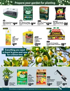 Bunnings Warehouse catalogue - valid from 10.09.2025 | Page: 4 | Products: Pot, Water, Nutrients, Treatment