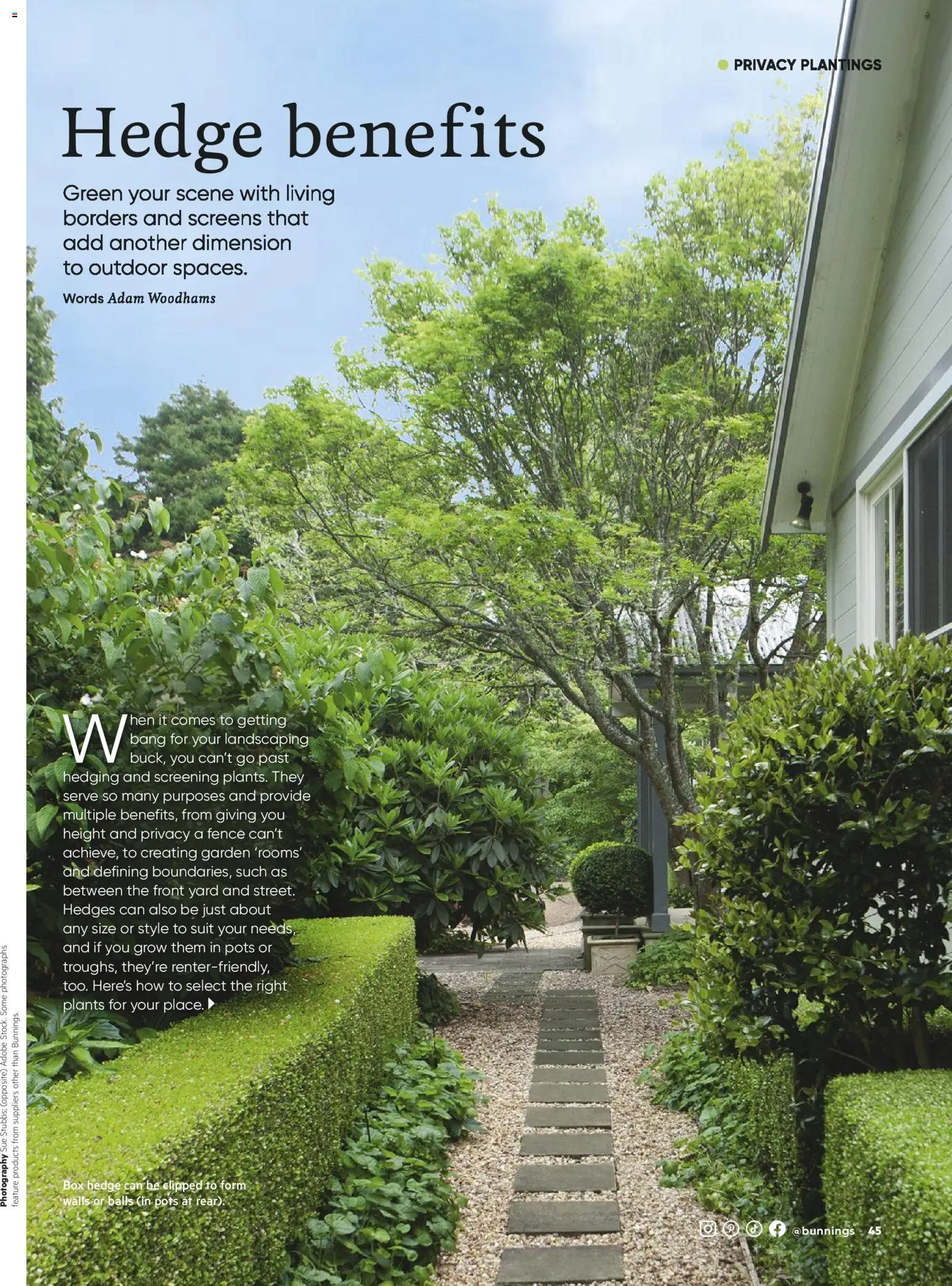 Bunnings Warehouse catalogue - valid from 01.03.2026 | Page: 45 | Products: Box, Fence, Suit