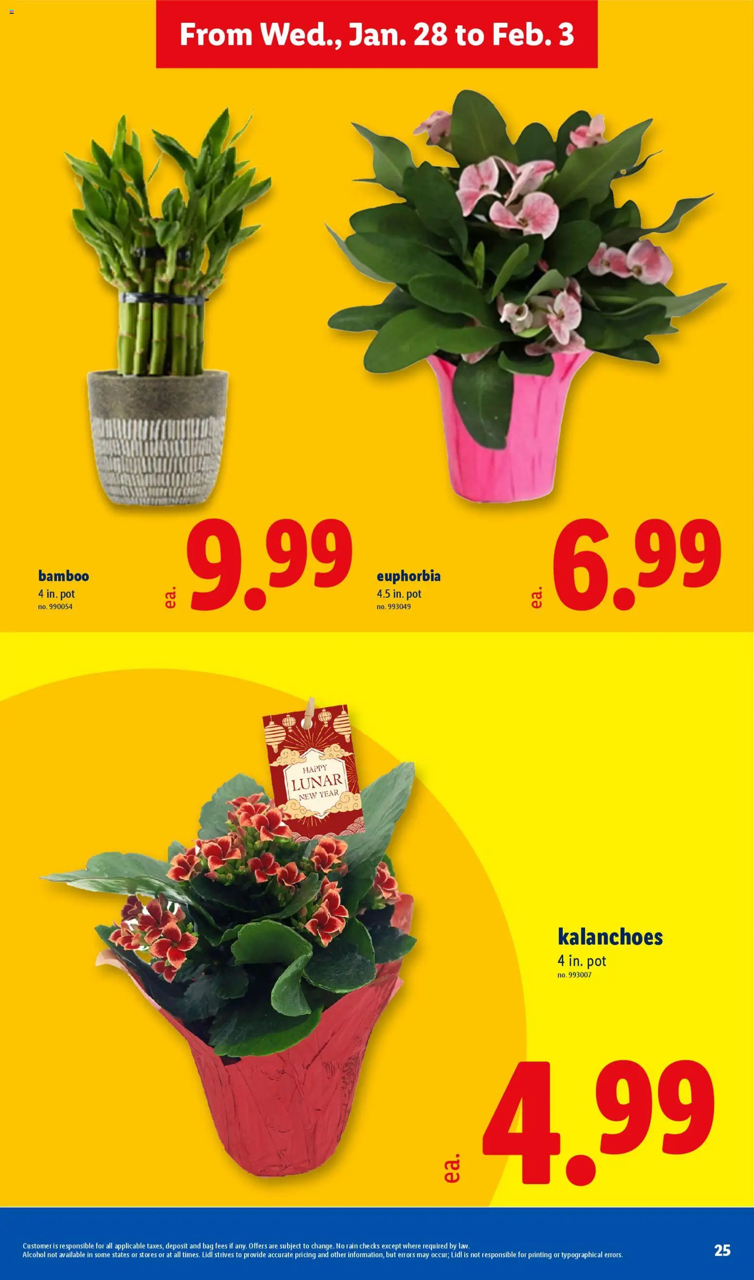 Lidl Weekly Ad - valid from 28.01.2026 | Page: 25 | Products: Bag